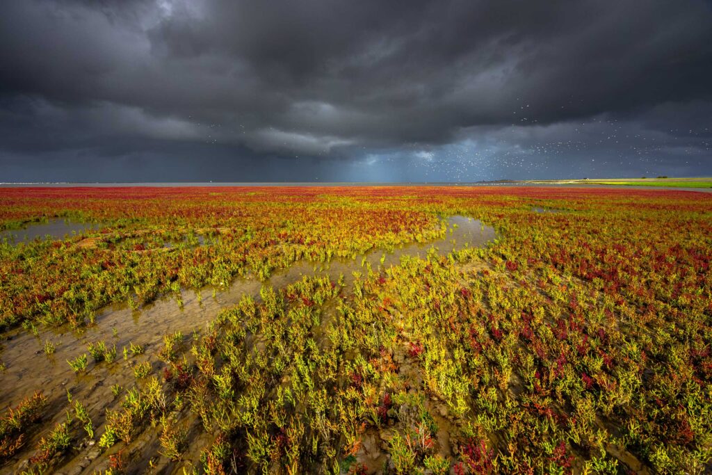 foto door Arjen Sijtsma