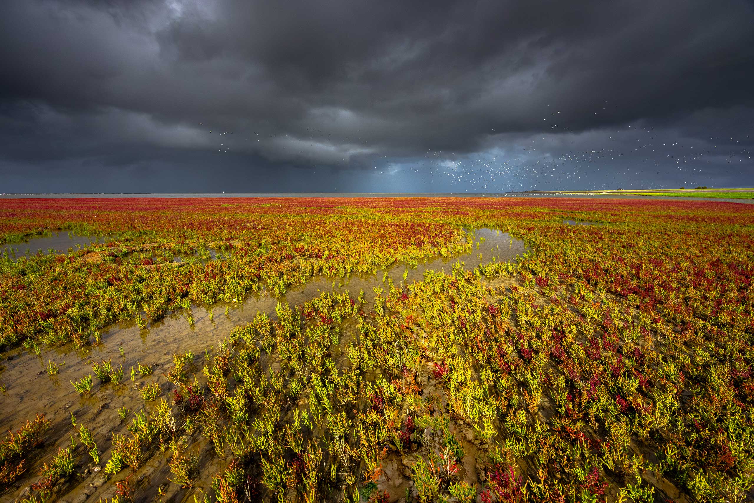 foto door Arjen Sijtsma