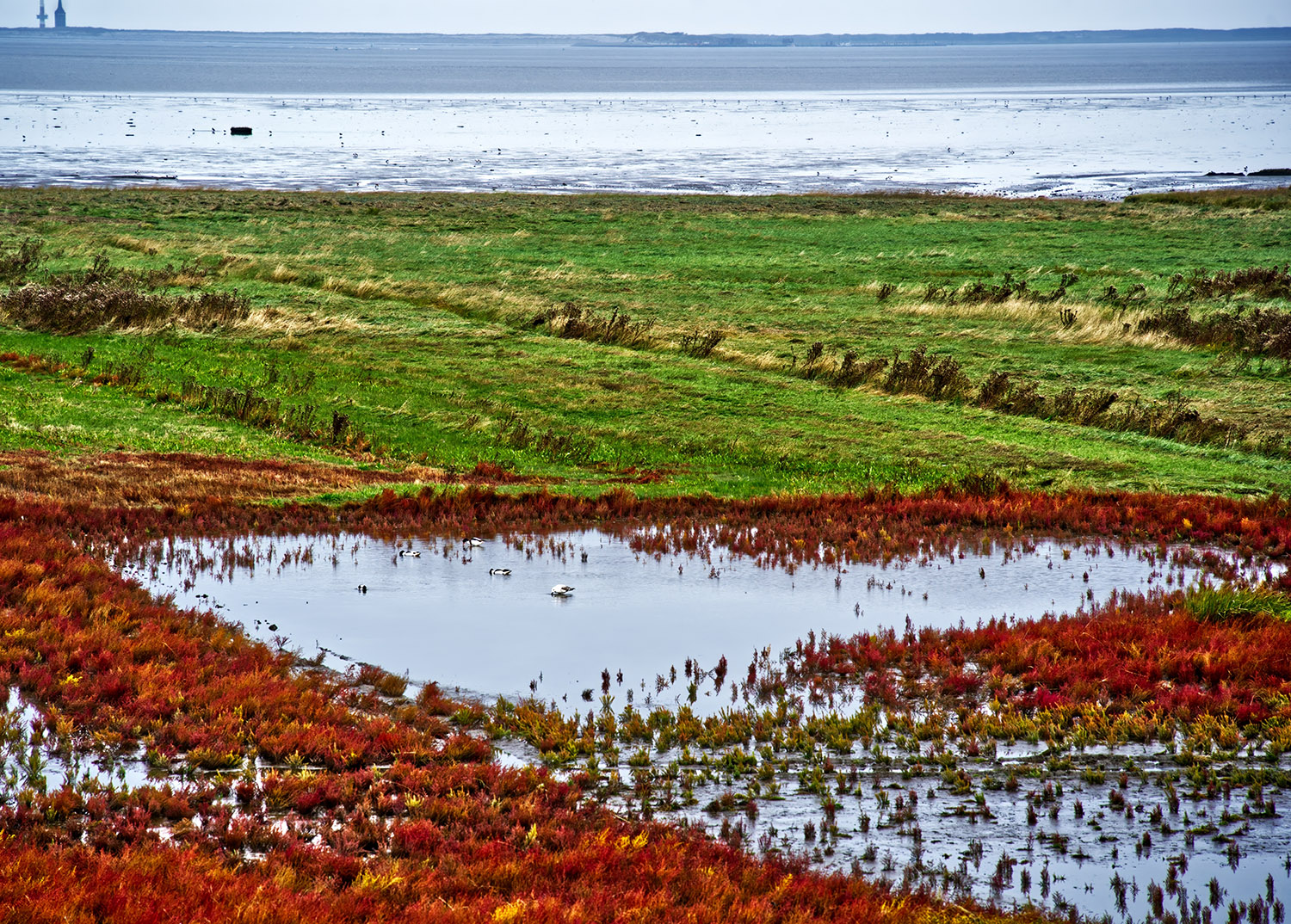 Werksessie | Defensie - focus op het Waddengebied als onderdeel van ecosysteem
